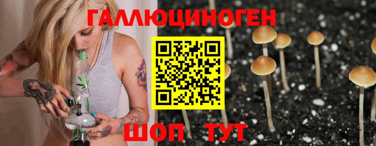 Псилоцибиновые грибы Cubensis  Псилоцибиновые грибы прущие грибы  купить закладку  Вход с VPN  Таганрог 